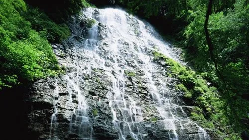 高性能绿色稳定性